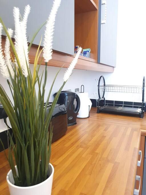 Contemporary Modern Studio Apartment - City Centre Бирмингем Экстерьер фото